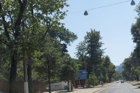 На мощенном брусчаткой Французском бульваре нанесли дорожную разметку специальной краской