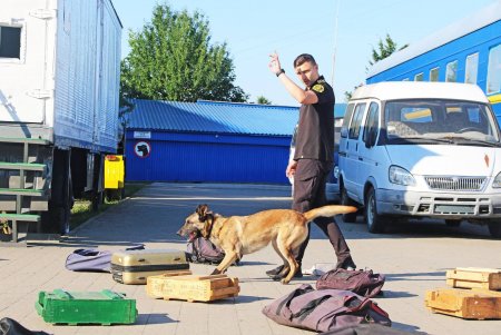 В городе завершилась подготовка кинологических команд со всей Украины (фото)