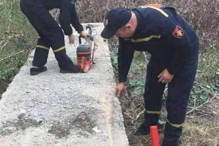 В Одессе спасали упавшую с шестого на второй этаж собаку, а в Подольске кот застрял в бетонной глыбе (фото)