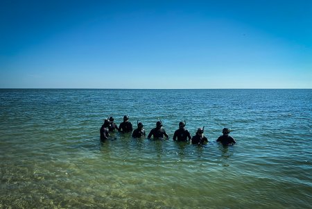 Одесский морской спецназ принял участие в комплексных подводных учениях (фото)