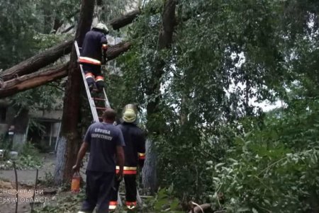 В Болградском районе уже второй день ликвидируют последствия непогоды (фото)