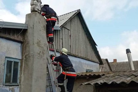 В Болградском районе уже второй день ликвидируют последствия непогоды (фото)