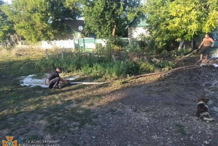 Последствия проливных дождей ликвидировали спасатели в Одесской области (фото)