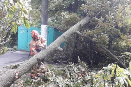 Последствия проливных дождей ликвидировали спасатели в Одесской области (фото)