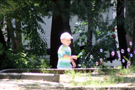 Все зеленые насаждения Одессы паспортизуют (фоторепортаж)