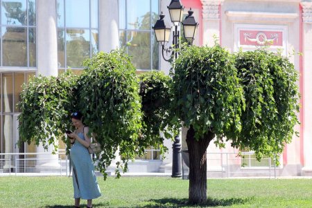 Все зеленые насаждения Одессы паспортизуют (фоторепортаж)