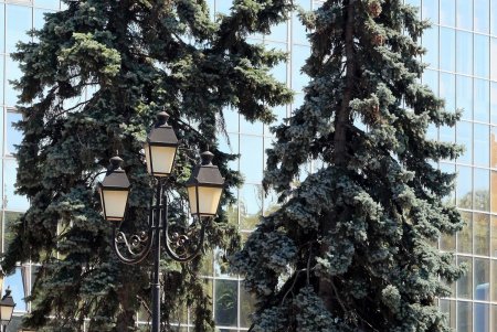 Все зеленые насаждения Одессы паспортизуют (фоторепортаж)