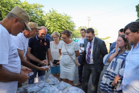 «Раскопки на 6-м километре производятся согласно международным нормам и правилам археологии», - мэр Одессы 