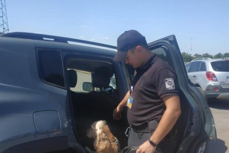 Одесские пограничники обнаружили 250 патронов и пакет с марихуаной в битых авто из США