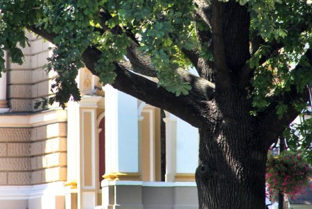 Улица, где жил Ланжерон (фоторепортаж) 
