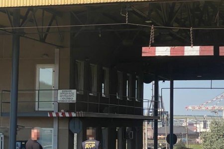 В контейнере с эквадорскими бананами в порту «Южный» обнаружили 60 килограммов кокаина на 10 миллионов долларов (фото, видео)