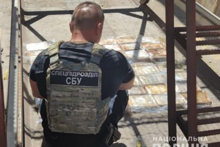 В контейнере с эквадорскими бананами в порту «Южный» обнаружили 60 килограммов кокаина на 10 миллионов долларов (фото, видео)