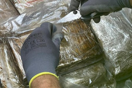 В контейнере с эквадорскими бананами в порту «Южный» обнаружили 60 килограммов кокаина на 10 миллионов долларов (фото, видео)