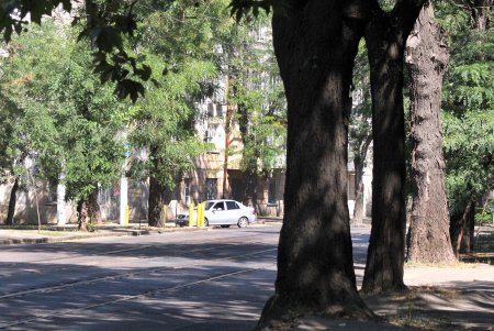 Неспешная прогулка по Старопортофранковской (фоторепортаж)