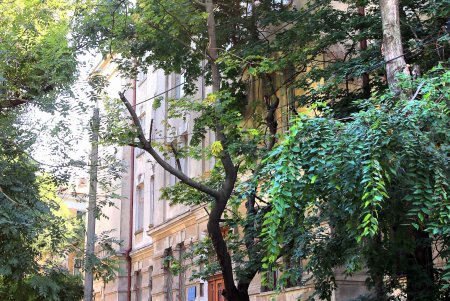 Неспешная прогулка по Старопортофранковской (фоторепортаж)