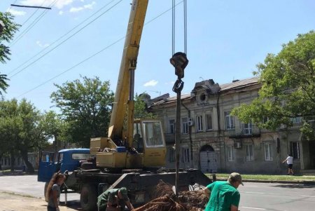 Озеленители обновляют цветники, газоны, высаживают растения и обрезают деревья на зеленых зонах Одессы (фото)