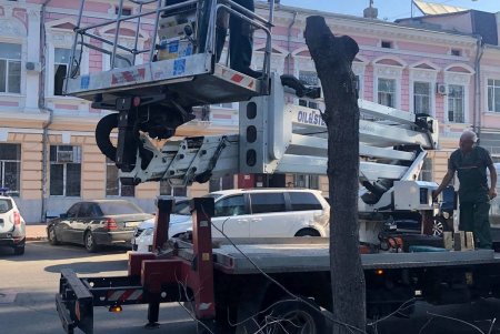 Озеленители обновляют цветники, газоны, высаживают растения и обрезают деревья на зеленых зонах Одессы (фото)