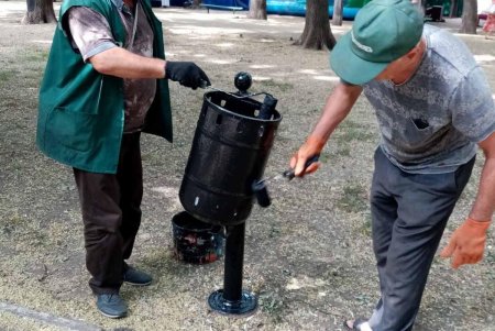 Озеленители обновляют цветники, газоны, высаживают растения и обрезают деревья на зеленых зонах Одессы (фото)