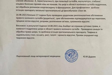 По ветеринарному заключению, со здоровьем у упавшего на Греческой коня Альберта сейчас все в порядке (фото)