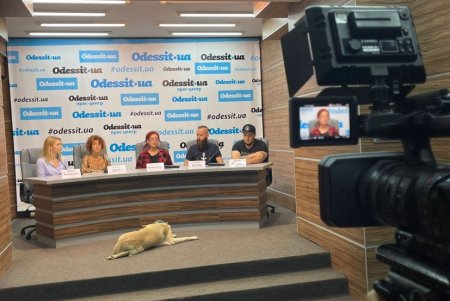 Мастер-классы, лаунж-зона, концерт: одесситов приглашают на рок-фестиваль в защиту животных всей семьей