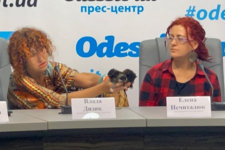 Мастер-классы, лаунж-зона, концерт: одесситов приглашают на рок-фестиваль в защиту животных всей семьей