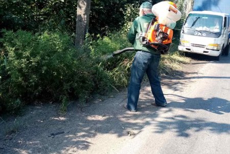 Одесские коммунальщики ведут борьбу с амброзией (фото)