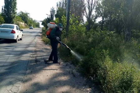 Одесские коммунальщики ведут борьбу с амброзией (фото)