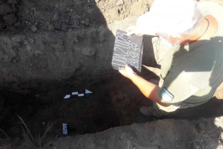 На 6-м километре Овидиопольской дороги найдено еще 23 расстрельных ямы с человеческими останками (фото)