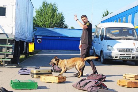 Нарушители не пройдут: кинологические команды Одесской таможни на отлично проходят спецподготовку (фото)