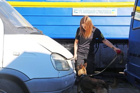 Нарушители не пройдут: кинологические команды Одесской таможни на отлично проходят спецподготовку (фото)