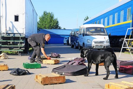 Нарушители не пройдут: кинологические команды Одесской таможни на отлично проходят спецподготовку (фото)