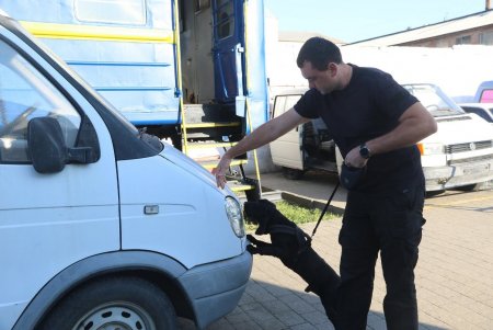 Нарушители не пройдут: кинологические команды Одесской таможни на отлично проходят спецподготовку (фото)