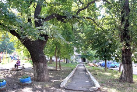 Нетуристическая улица Василия Стуса на Дальних Мельницах (фоторепортаж) 
