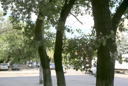 Нетуристическая улица Василия Стуса на Дальних Мельницах (фоторепортаж) 