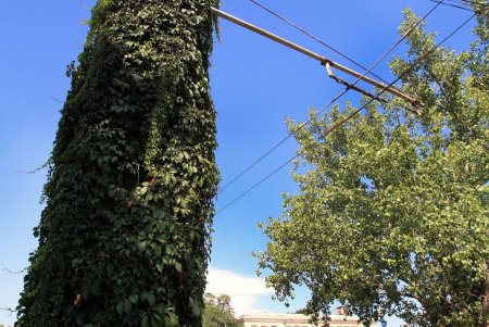 Нетуристическая улица Василия Стуса на Дальних Мельницах (фоторепортаж) 
