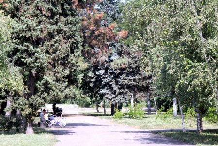 Нетуристическая улица Василия Стуса на Дальних Мельницах (фоторепортаж) 