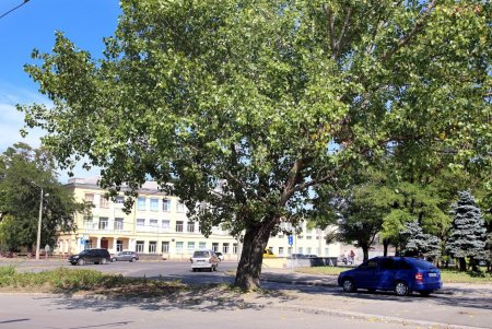 Нетуристическая улица Василия Стуса на Дальних Мельницах (фоторепортаж) 