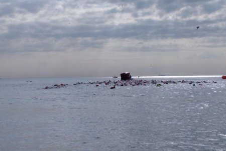 «Oceanman Odesa-2021»: более 700 участников из девяти стран соревнуются в морском плавании на Ланжероне (фото, видео)