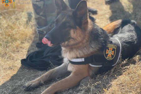 Спасатели, кинологи и общественники тренировались искать потерявшихся в катакомбах людей (фото)