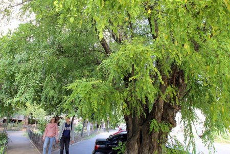 Ухоженные высотки и опрятные дворы улицы Нищинского (фоторепортаж)