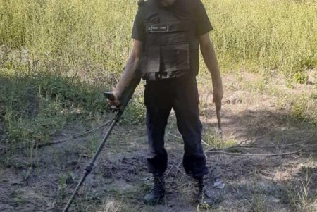 В Березовском лесу обнаружили 30 артснарядов, пролежавших в земле десятки лет (фото)