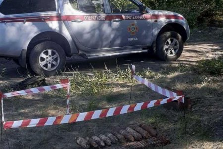 В Березовском лесу обнаружили 30 артснарядов, пролежавших в земле десятки лет (фото)