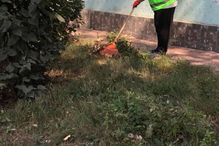 В Суворовском районе коммунальщики очистили памятники и бювет