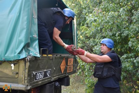 Уже более 300 взрывоопасных предметов обнаружили при обследовании Березовского леса (фото)