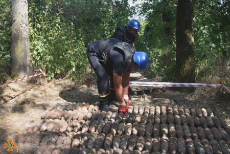 Уже более 300 взрывоопасных предметов обнаружили при обследовании Березовского леса (фото)