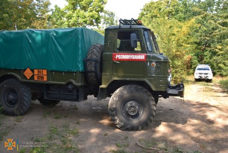 Уже более 300 взрывоопасных предметов обнаружили при обследовании Березовского леса (фото)