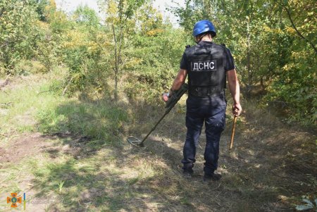 Уже более 300 взрывоопасных предметов обнаружили при обследовании Березовского леса (фото)