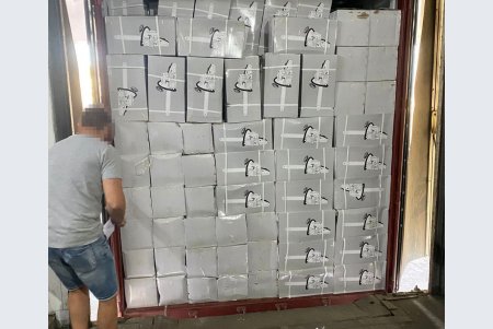 Через Одесскую таможню пытались провезти контрабандные бензопилы из Китая почти на пять миллионов гривен (фото)