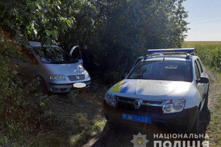 «Черные лесорубы» уничтожали деревья в Подольском районе (фото)