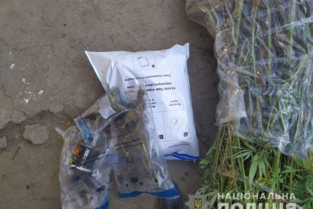 Житель Килии выращивал коноплю на придомовом участке (фото)